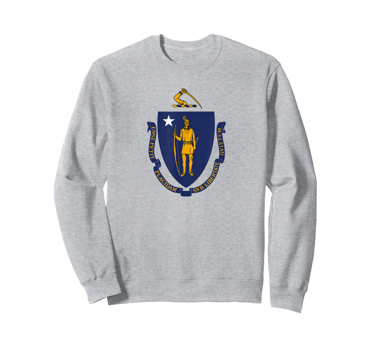 Flag of Massachusetts T-Shirt