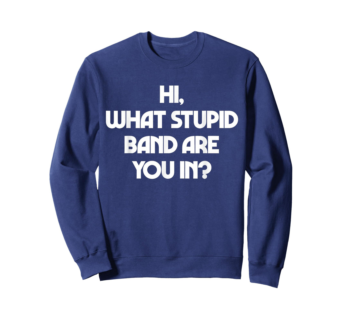 Hi, What Stupid Band Are You In? T-Shirt