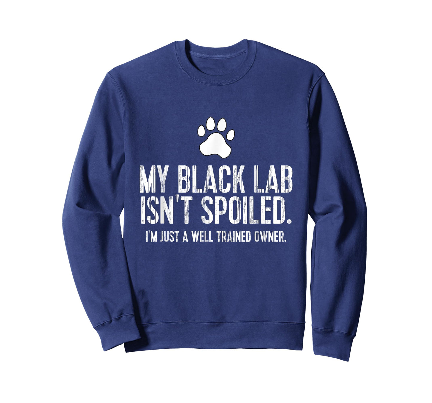 Funny Black Labrador Gift My Lab Isnt Spoiled T-Shirt