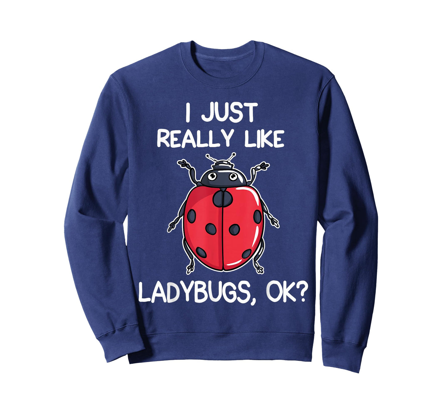 I Like Ladybird Lover Gift T-Shirt