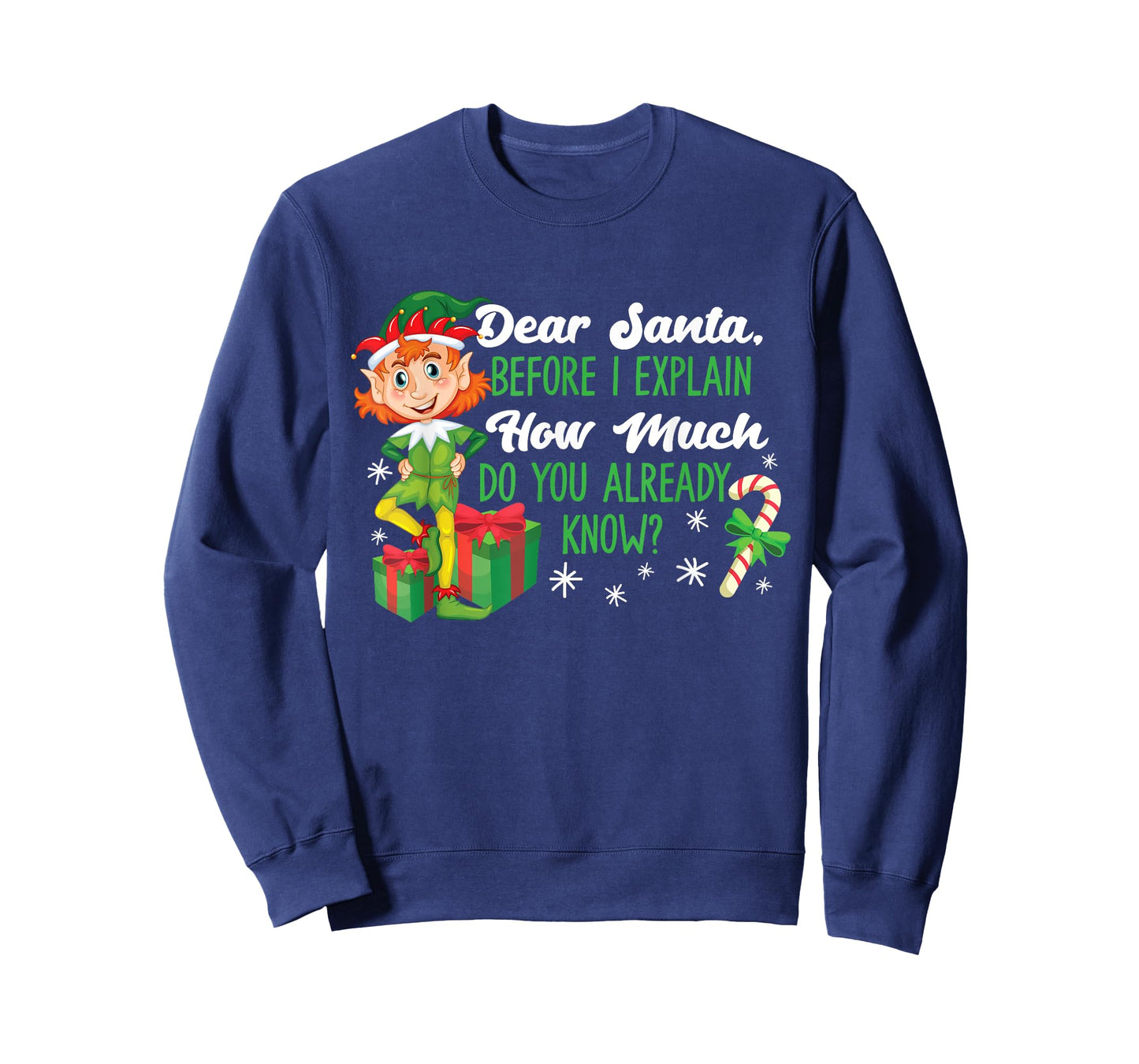 Funny Christmas Dear Santa How Much Do You Know T-Shirt