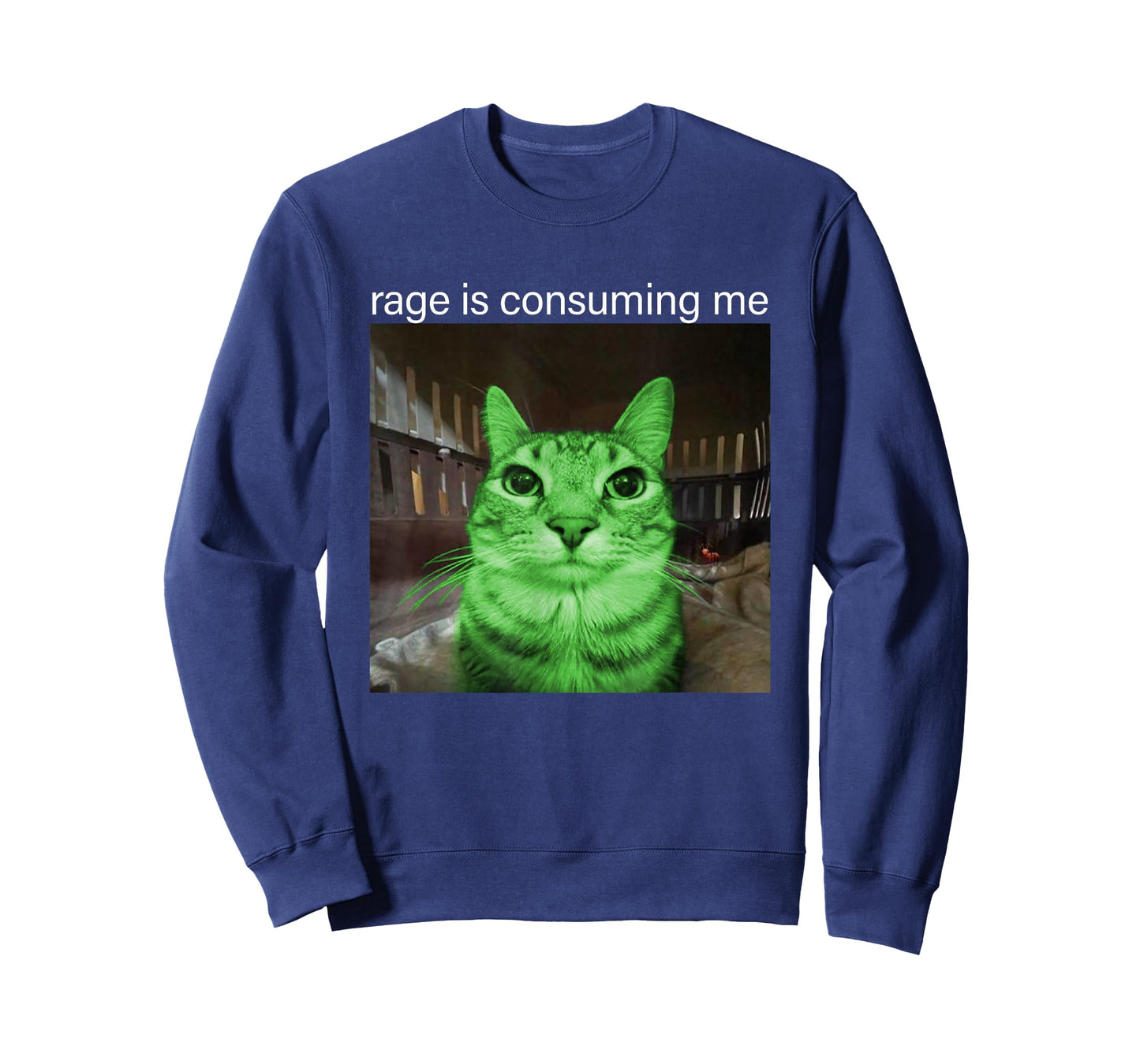 Rage is Consuming Me Silly Staring Alien Cat Meme T-Shirt