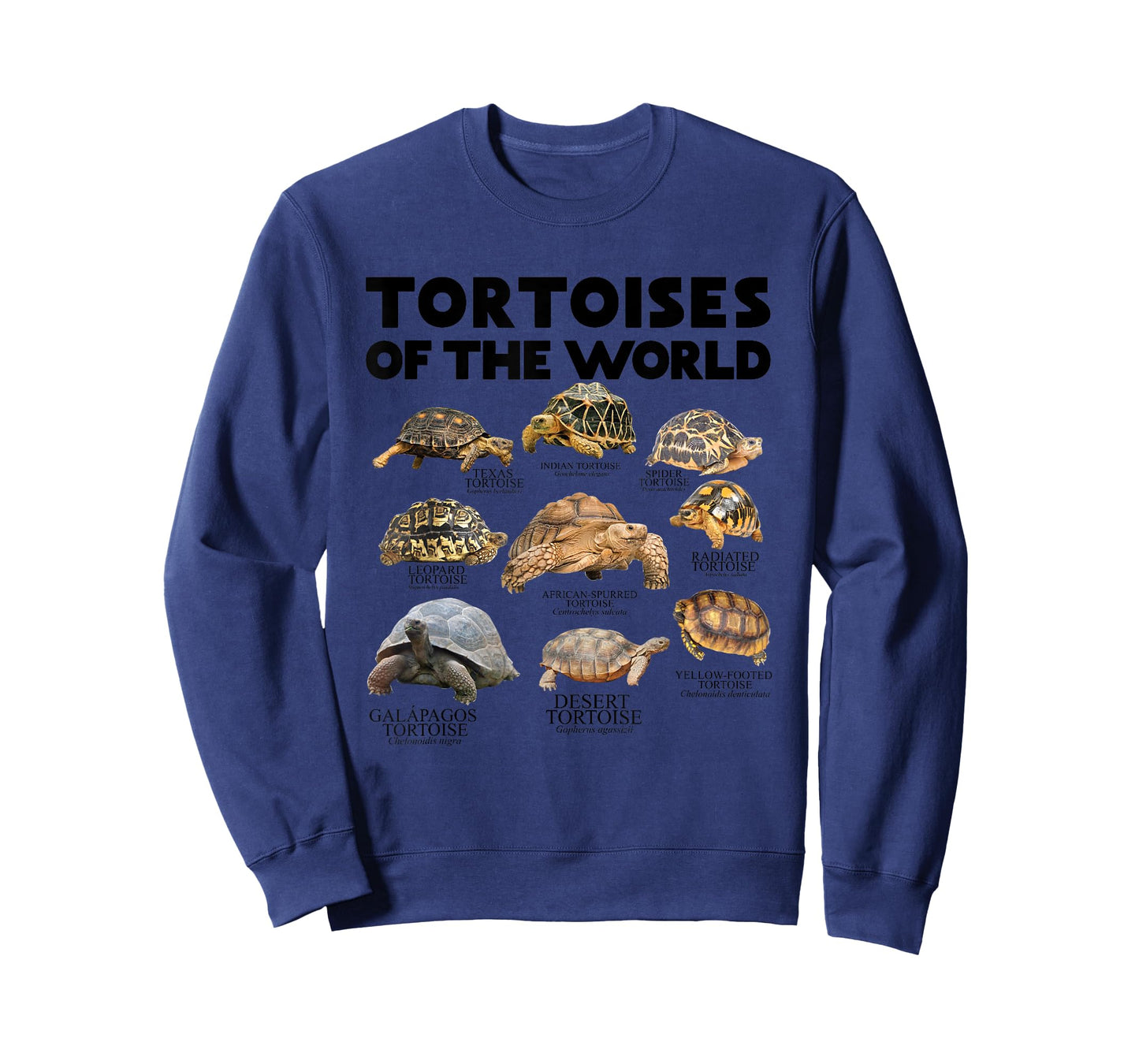 Tortoises of The World Turtles Lover Save The Tortoises T-Shirt