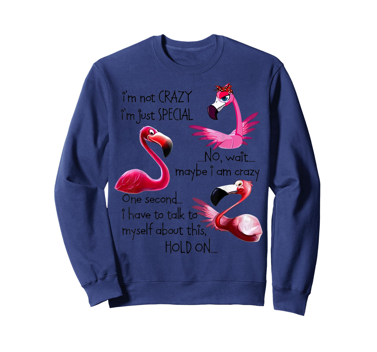 Flamingo I’m Not Crazy I’m Just Special No Wait Maybe T-Shirt