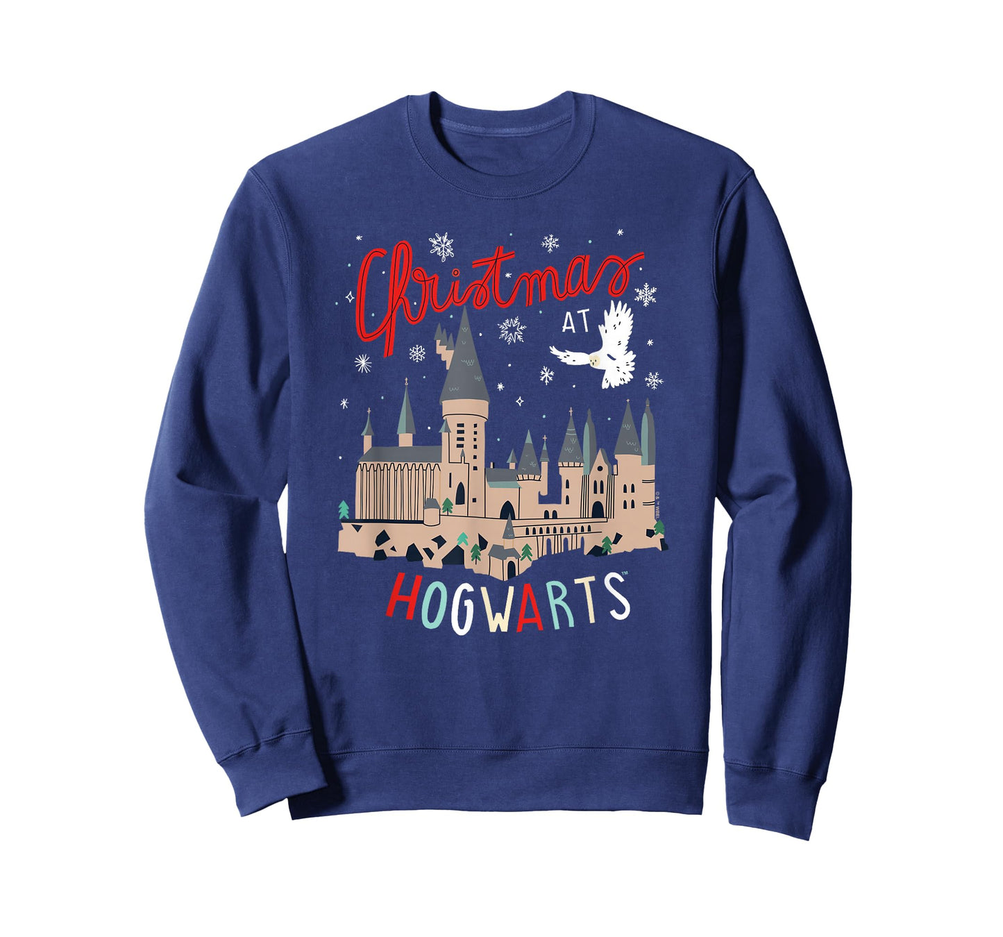 Harry Potter Unisex-Adults Kids Christmas Hogwarts T-Shirt, Black, Small