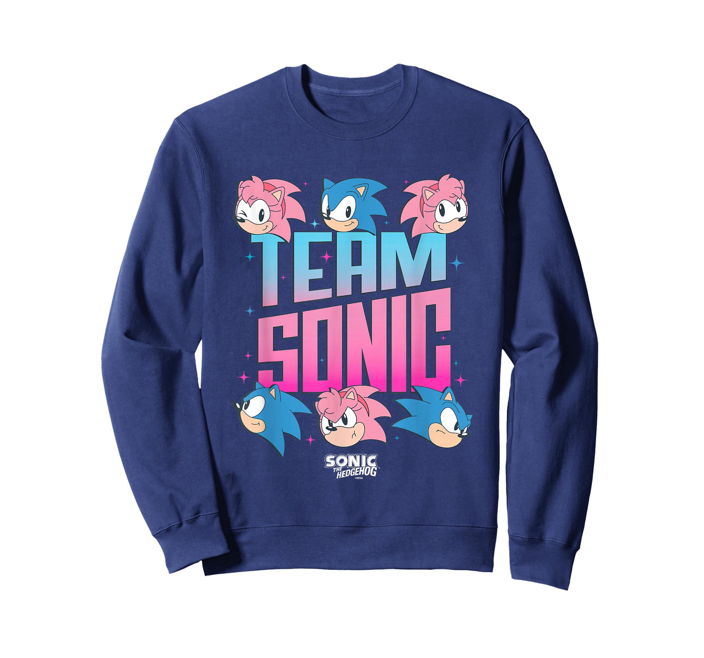 Sonic The Hedgehog Team Sonic Amy Rose Retro Logo T-Shirt