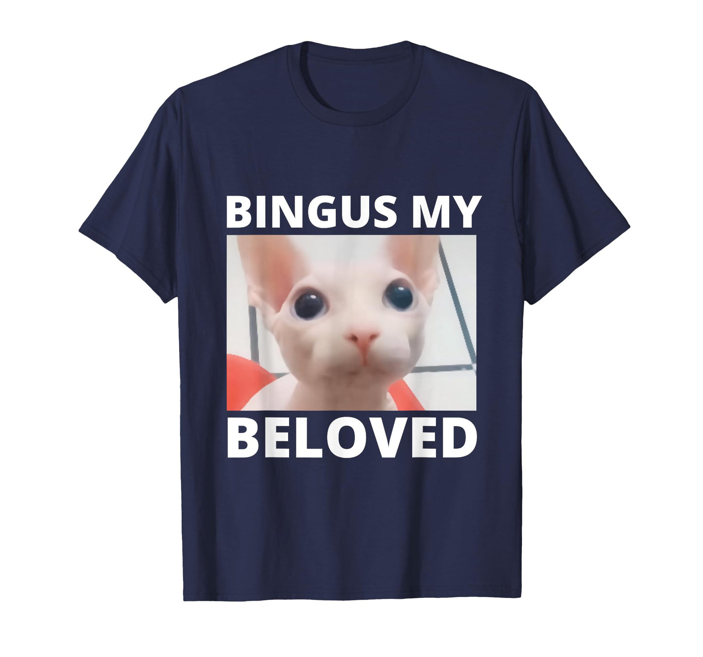 Funny Bingus My Beloved Hairless Sphinx Cat Bingus Cat Meme Men Women Girls Kids T-Shirt