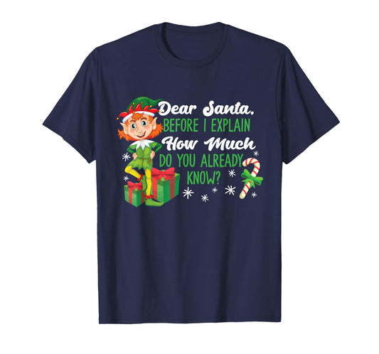Funny Christmas Dear Santa How Much Do You Know T-Shirt