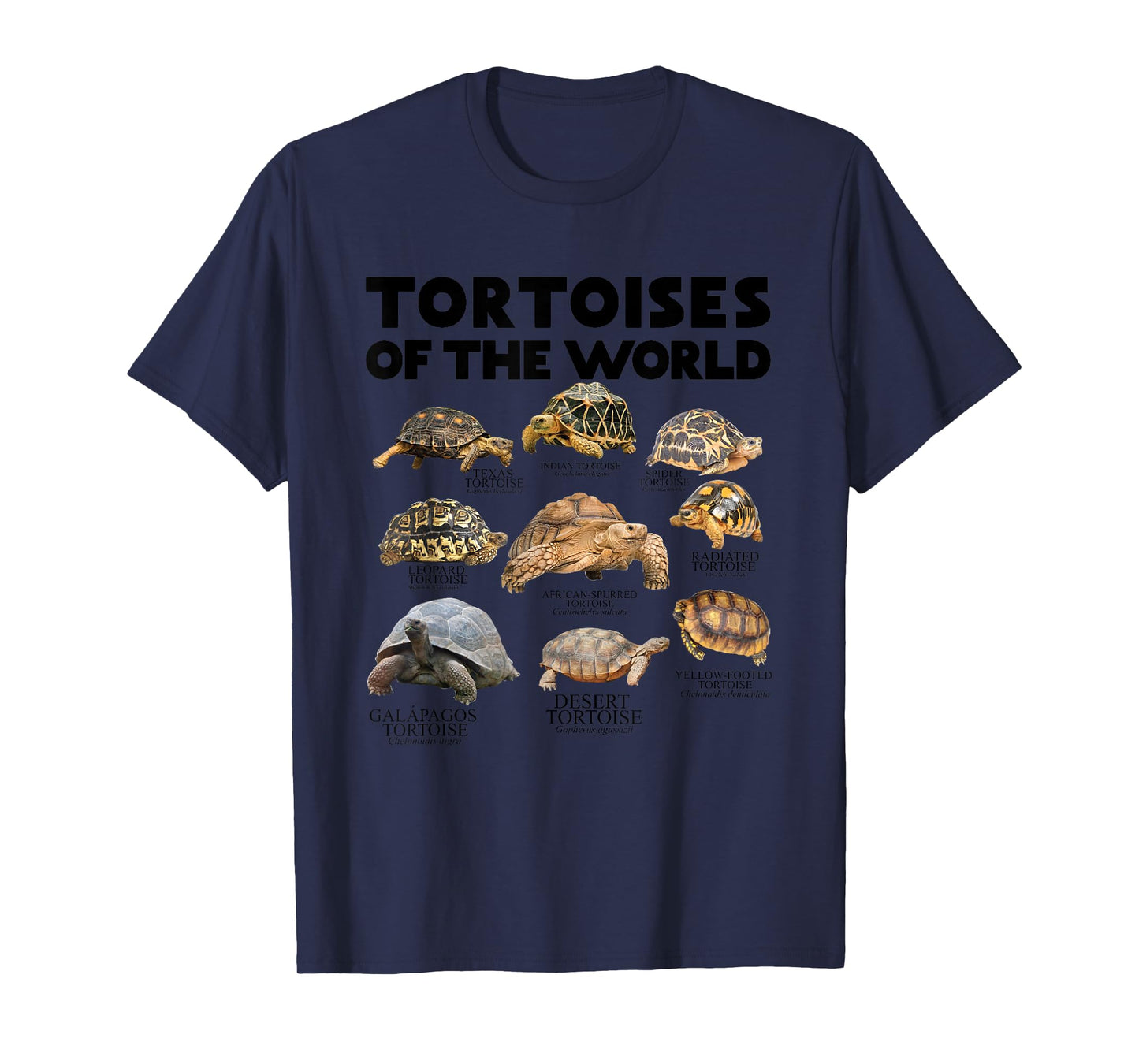 Tortoises of The World Turtles Lover Save The Tortoises T-Shirt