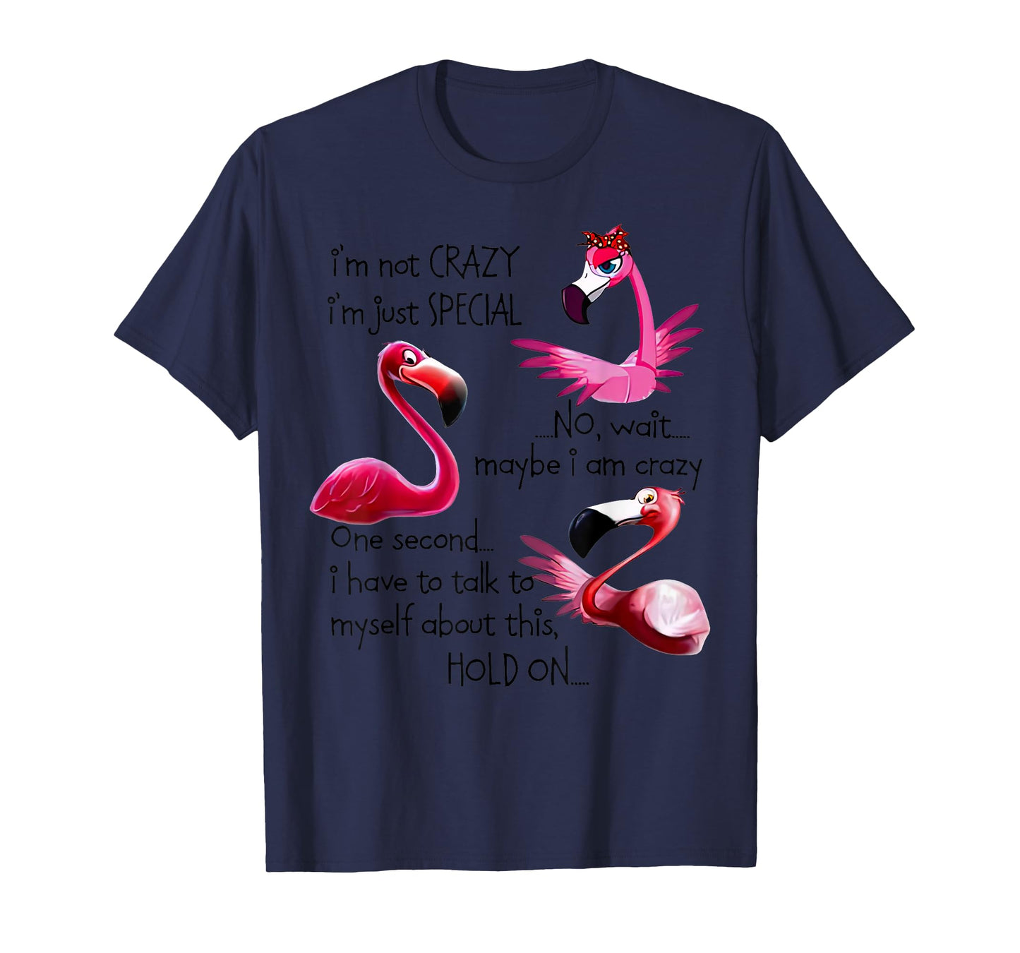 Flamingo I’m Not Crazy I’m Just Special No Wait Maybe T-Shirt