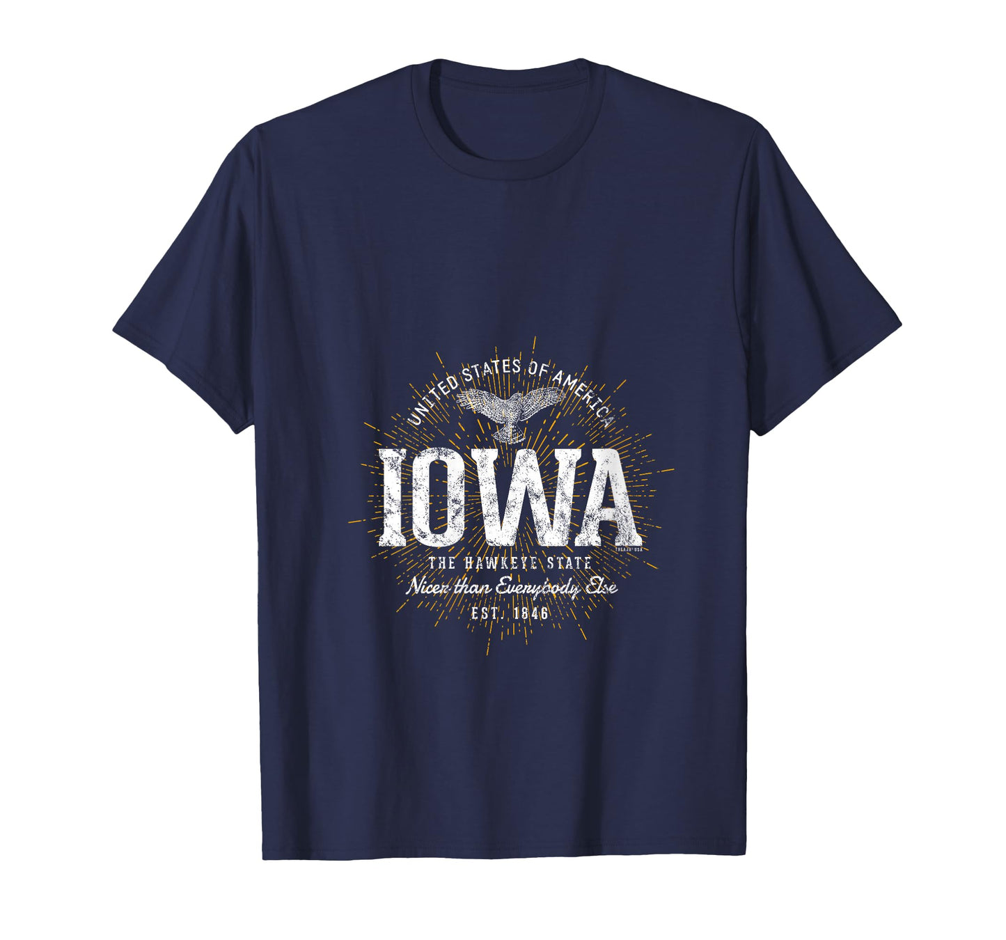 Womens Vintage State of Iowa Retro V-Neck T-Shirt