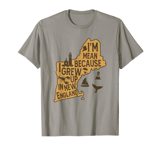 Sarcasm Humor I'm Mean Because I Grew Up In New England T-Shirt