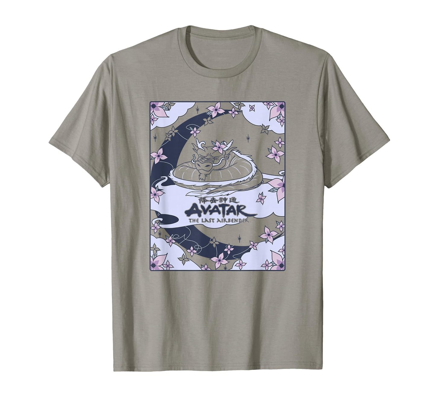 Avatar: The Last Airbender Roku Dragon Card T-Shirt Small
