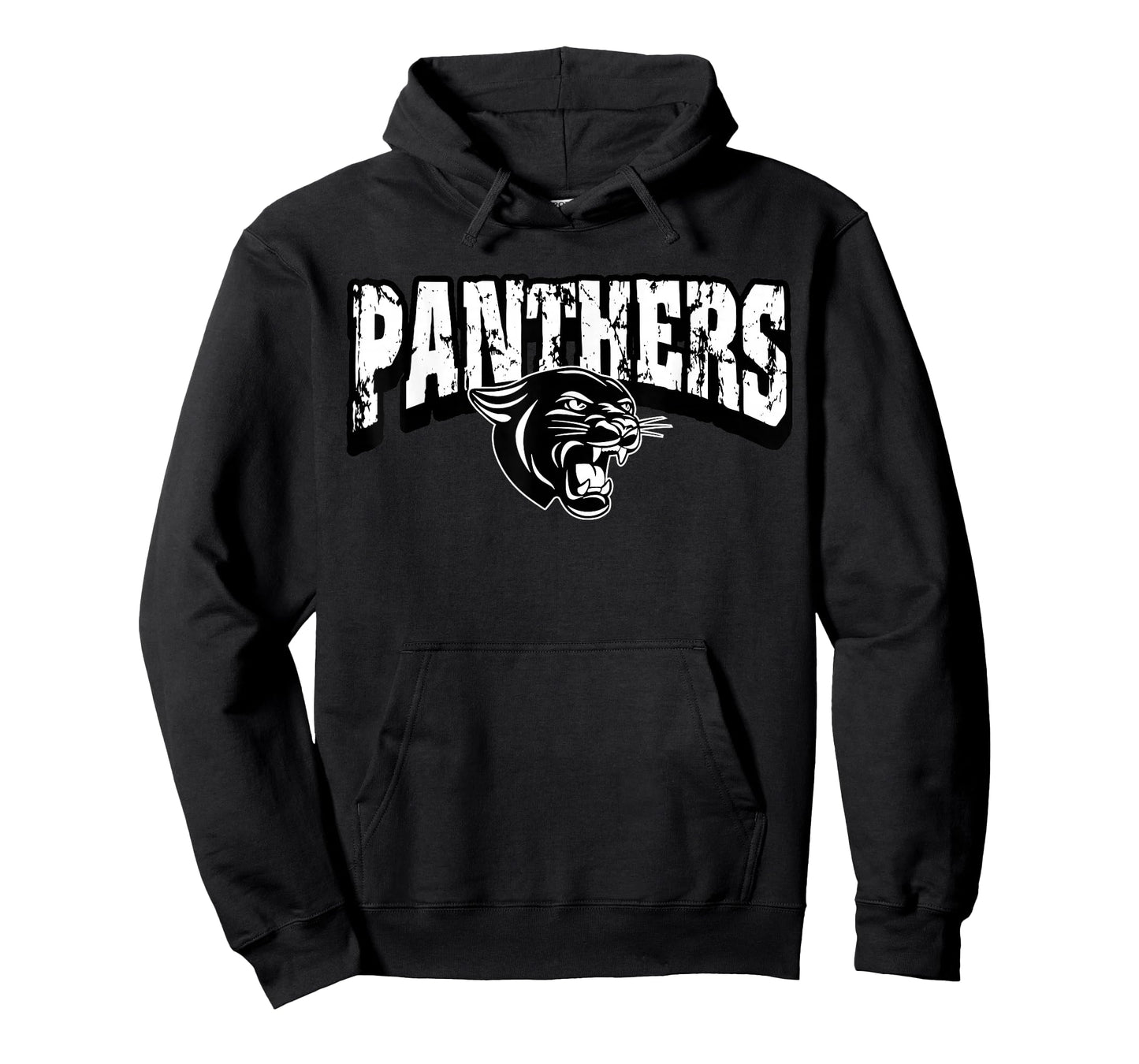 Panthers Back to School Spirit T-Shirt