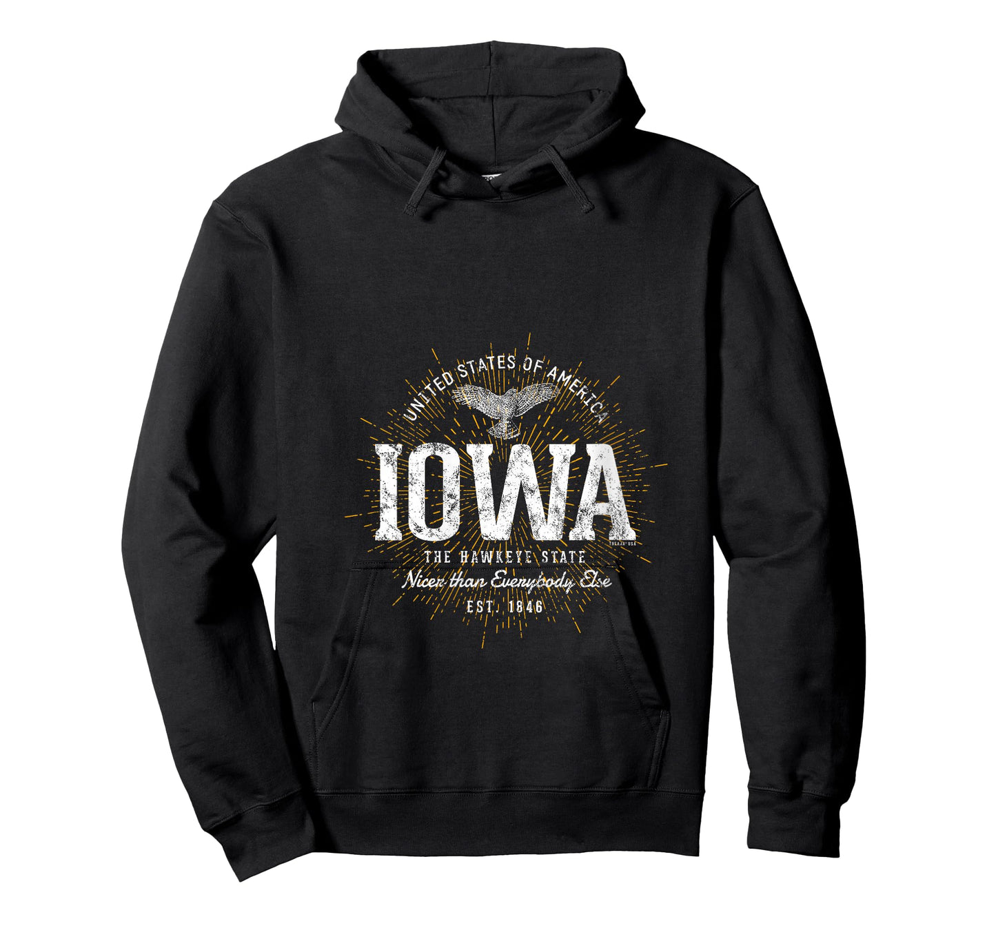 Womens Vintage State of Iowa Retro V-Neck T-Shirt