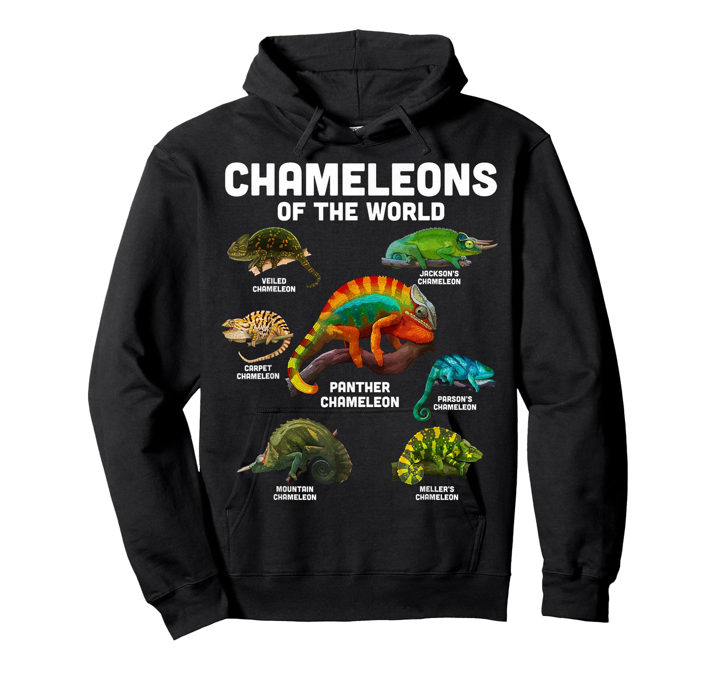 Chameleon Shirt Chameleons of the World Educational Reptile T-Shirt