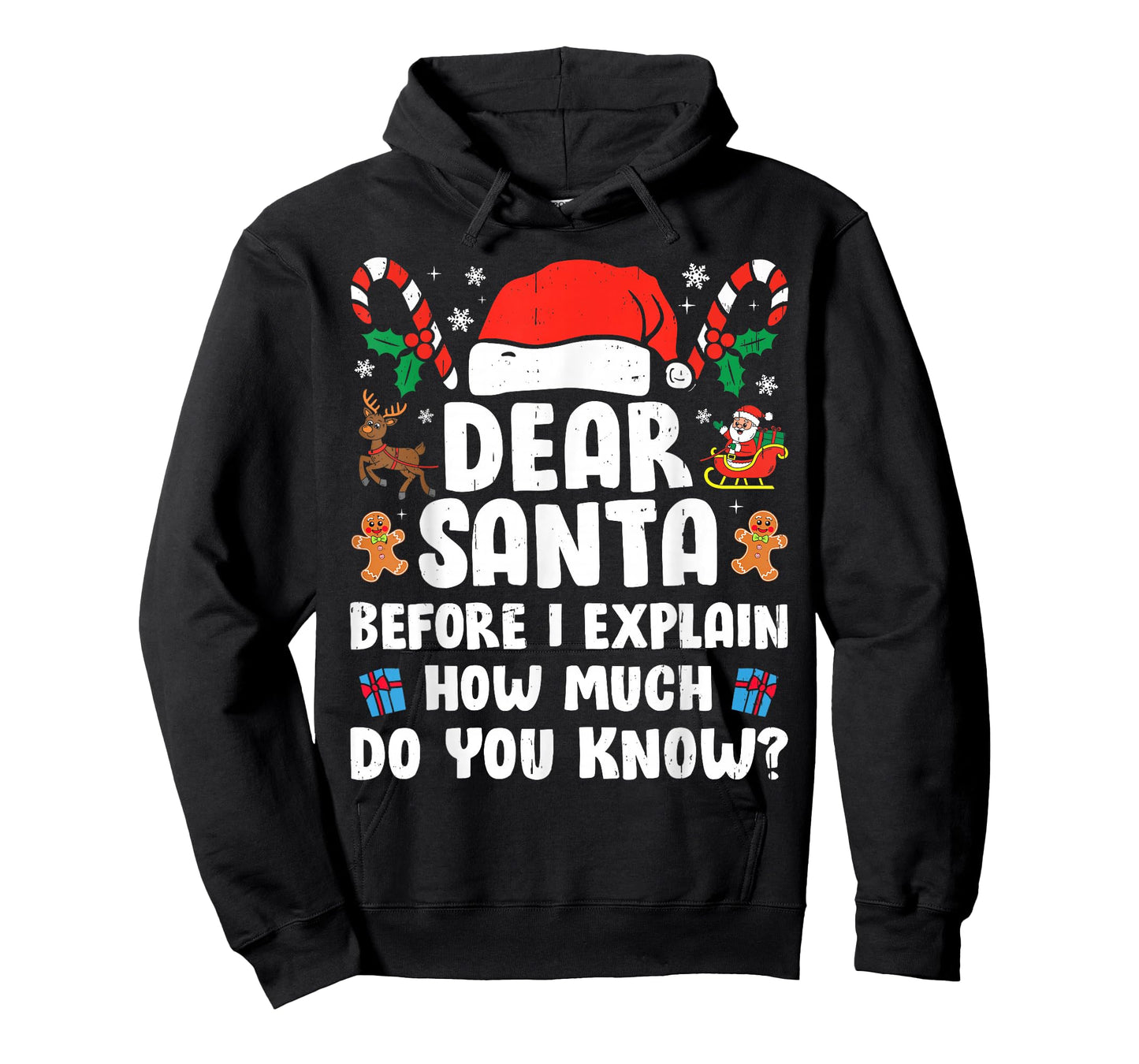 Dear Santa I Can Explain Funny Christmas Xmas Men Women Kids T-Shirt