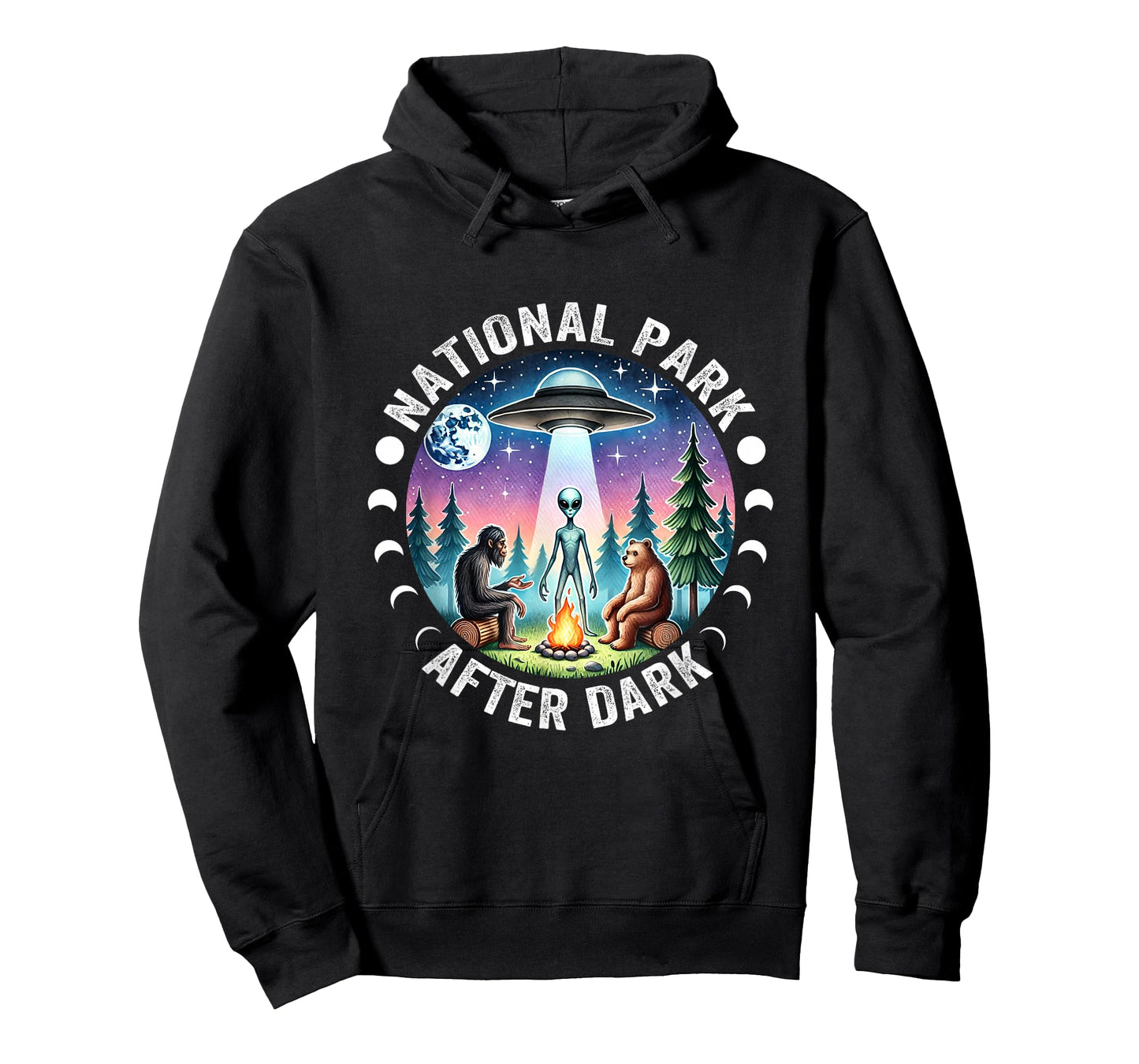 Vintage Retro Funny National Park After the Dark Big foot Alien Campfire T-Shirt, Small, Black