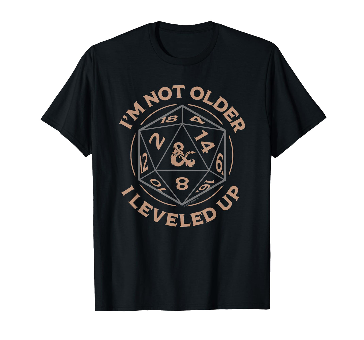 Dungeons & Dragons Birthday Level Up T-Shirt