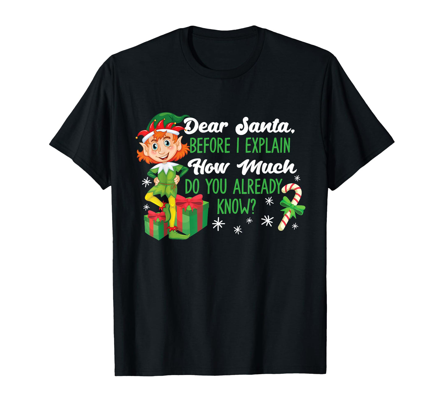 Funny Christmas Dear Santa How Much Do You Know T-Shirt
