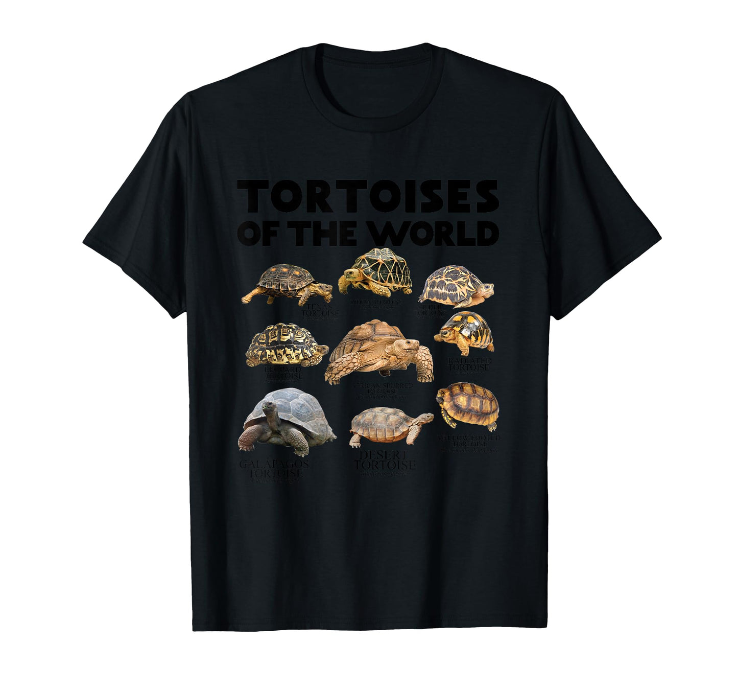 Tortoises of The World Turtles Lover Save The Tortoises T-Shirt
