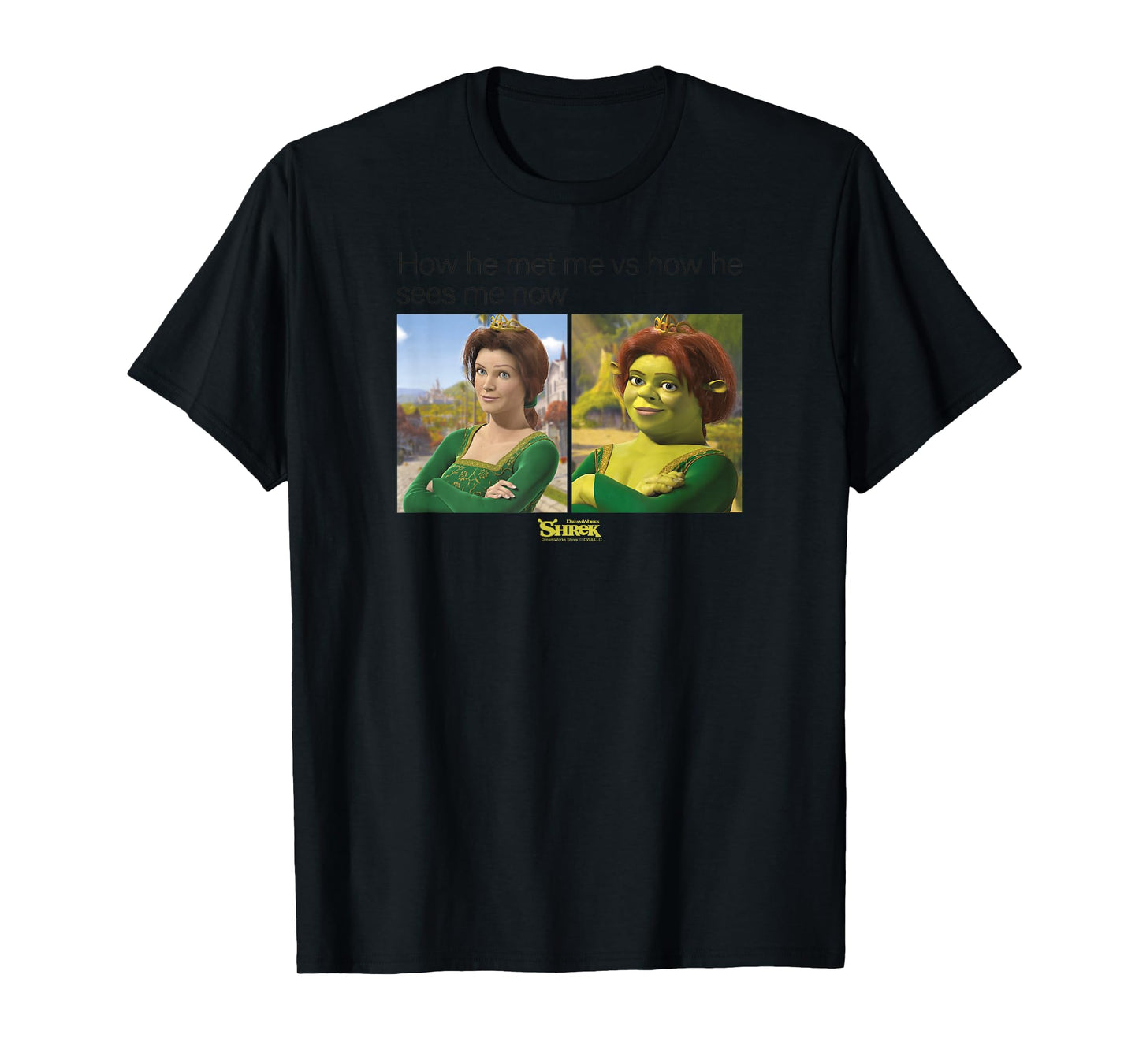 Shrek Princess Fiona Meme T-Shirt