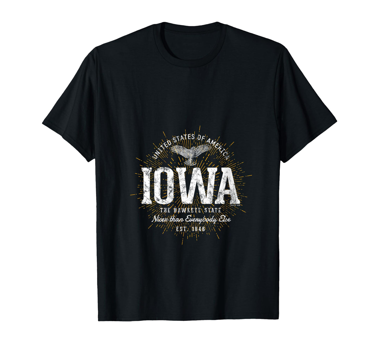 Womens Vintage State of Iowa Retro V-Neck T-Shirt
