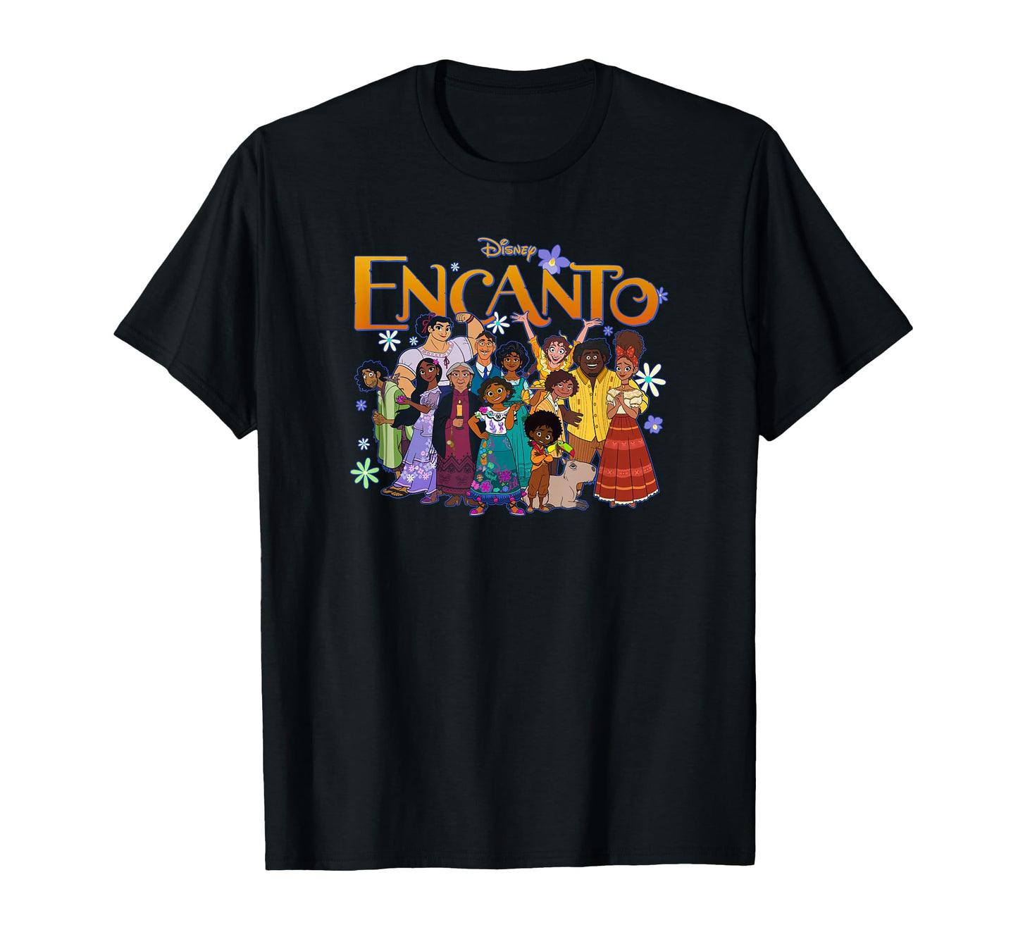 Disney Encanto Family Group Portrait Logo T-Shirt Small