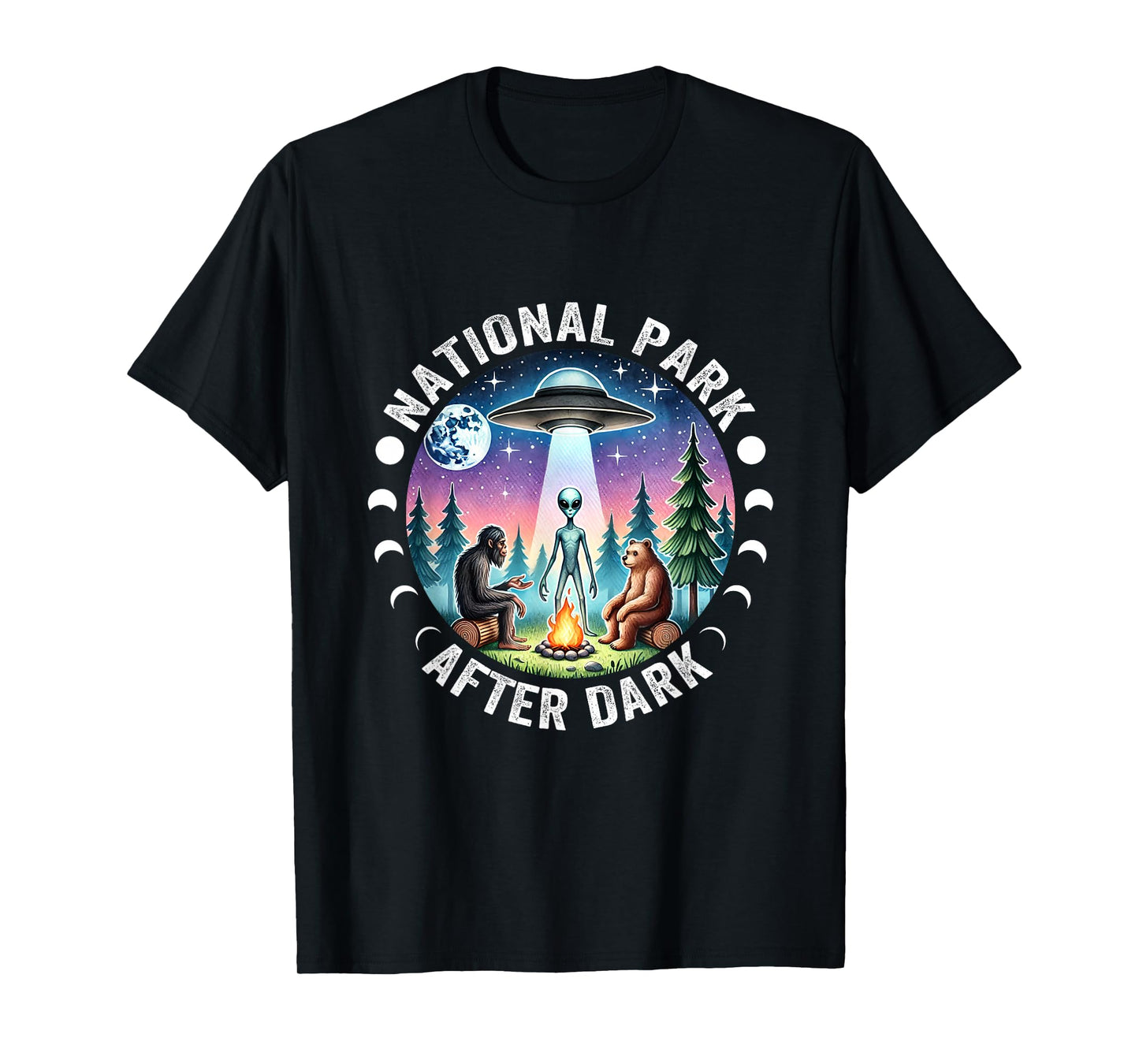 Vintage Retro Funny National Park After the Dark Big foot Alien Campfire T-Shirt, Small, Black