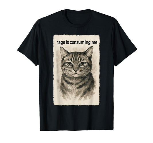 Rage is Consuming Me Funny Silly Staring Cat Meme Sumi-e T-Shirt