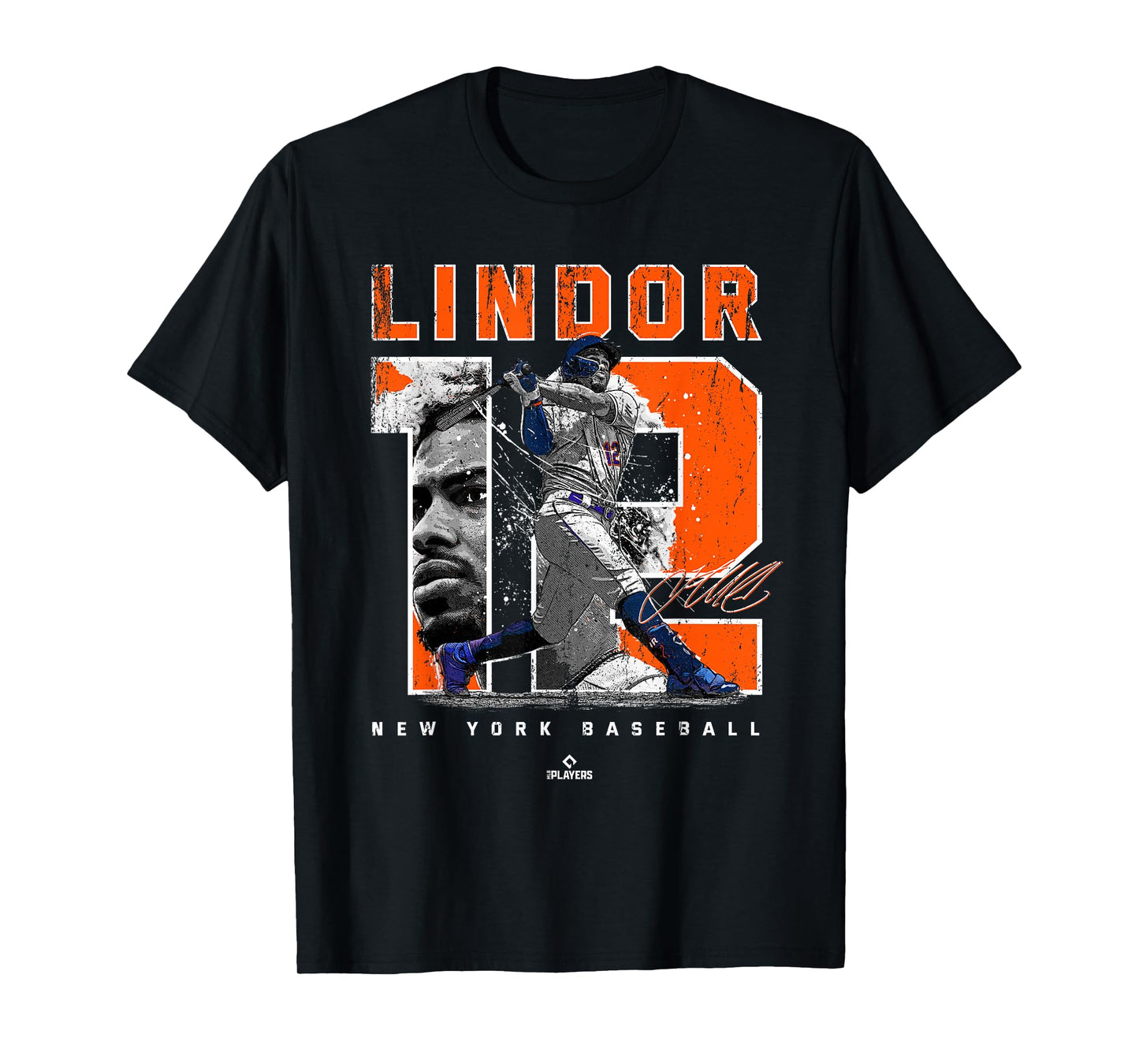 Number and Portrait Francisco Lindor New York MLBPA T-Shirt Small